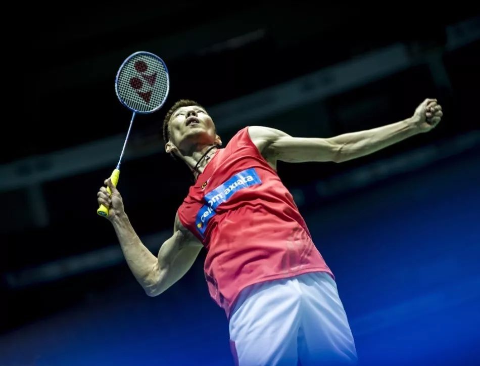 定性提升明 定性提升明